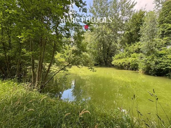 Grande Maison Familiale sur Plus de 2 Hectares avec Étang et Dépendance