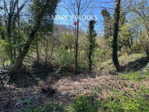 Grande Maison Familiale sur Plus de 2 Hectares avec Étang et Dépendance