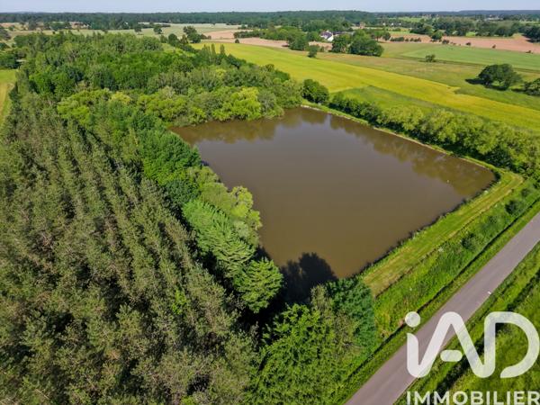 Terrain à vendre 31 852 m² Neau