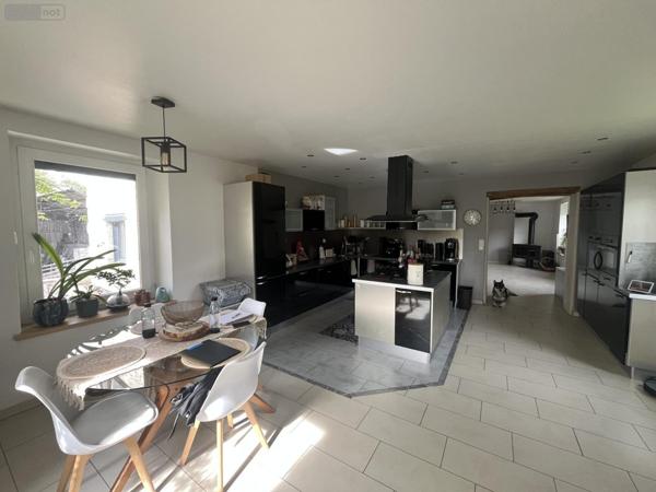 Maison individuelle à louer à Poncin dans l'Ain (01450), ref : LM1517-01032