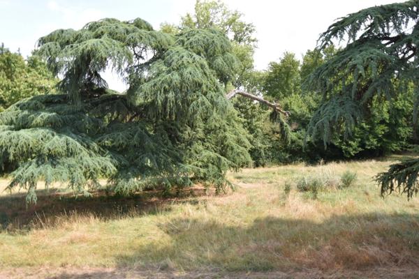 Appartement à louer 4 pièces CASSENEUIL (47) avec jardin, balcon, belle vue dégagée