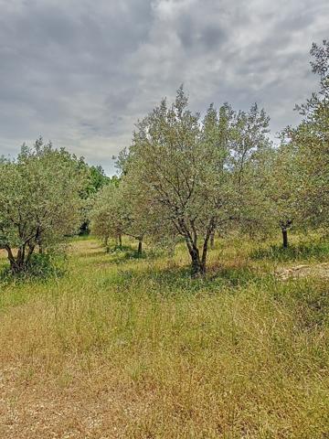 Vinsobres (26110) TRES JOLIE VILLA DE TYPE T5 AVEC PISCINE SUR LES HAUTEURS DE VINSOBRES