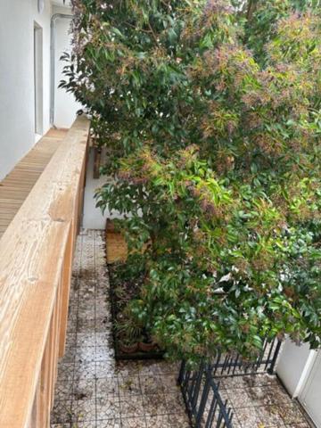 Arcachon Centre magnifique appartement proche centre et plage