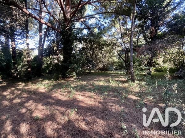 Maison à vendre 8 pièces 346 m² Coursan