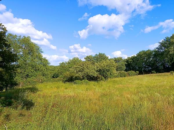 Maison en pierre à vendre 4 pièces LALINDE (24)