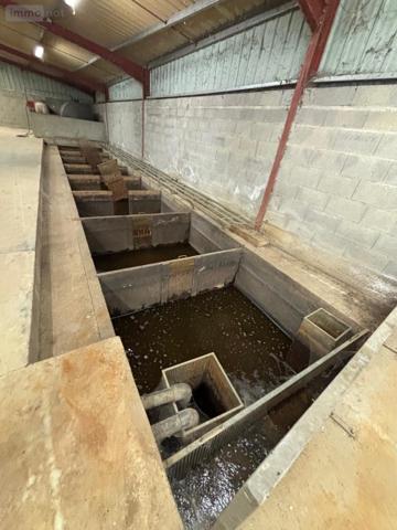 Entrepôt et bureaux à vendre à Saint-Sulpice-les-Feuilles en Haute-Vienne (87160), ref : 87056-755