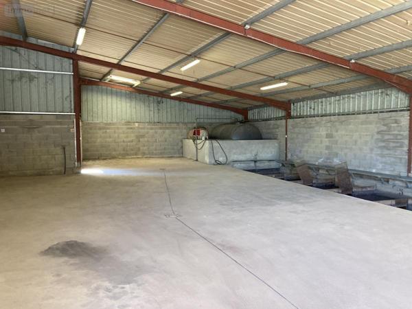 Entrepôt et bureaux à vendre à Saint-Sulpice-les-Feuilles en Haute-Vienne (87160), ref : 87056-755