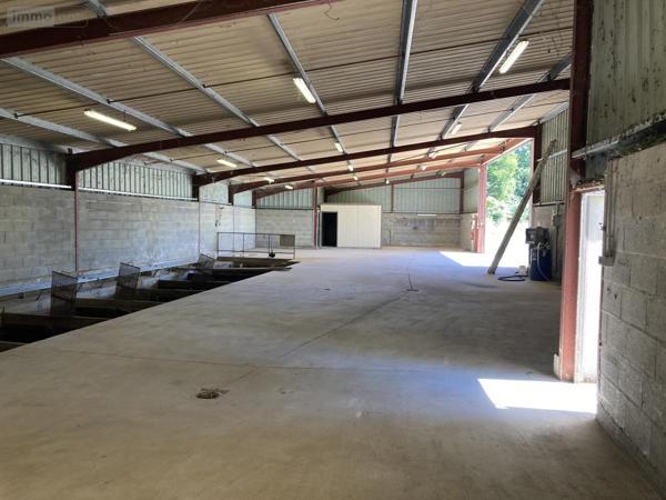 Entrepôt et bureaux à vendre à Saint-Sulpice-les-Feuilles en Haute-Vienne (87160), ref : 87056-755