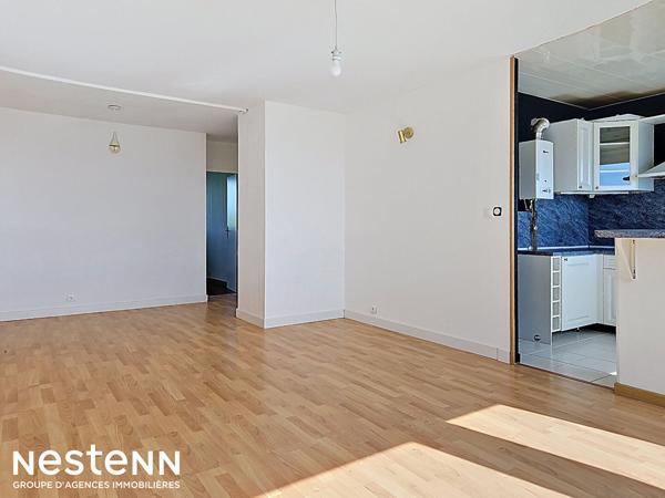 Appartement Nancy 4 pièce(s) 71.93 m2- rénové - vue exceptionnelle- Cure d'Air