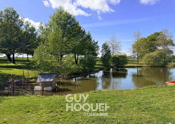 Maison rénovée DPE B , Propriété avec étang sur 1,9 hectare