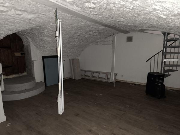 Murs commerciaux de 46 m² + duplex de 20 m2 et cave voutée