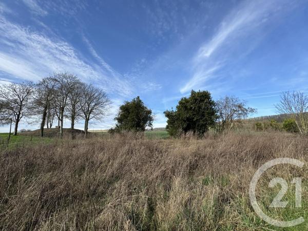 terrain à vendre  1359 m2 VILLENAUXE LA GRANDE - 10