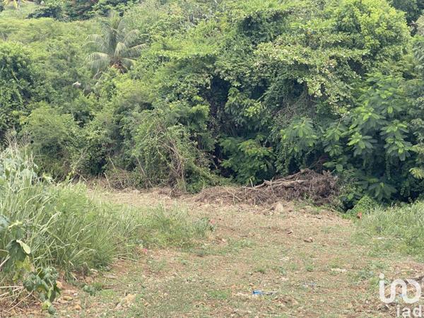 Terrain à vendre 789 m² Vieux-Habitants