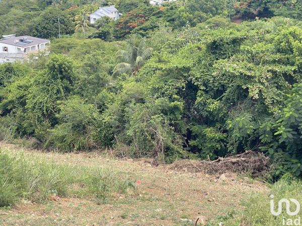 Terrain à vendre 789 m² Vieux-Habitants