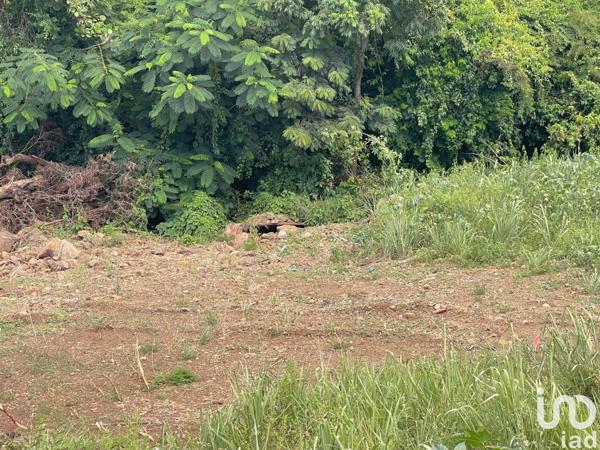 Terrain à vendre 789 m² Vieux-Habitants