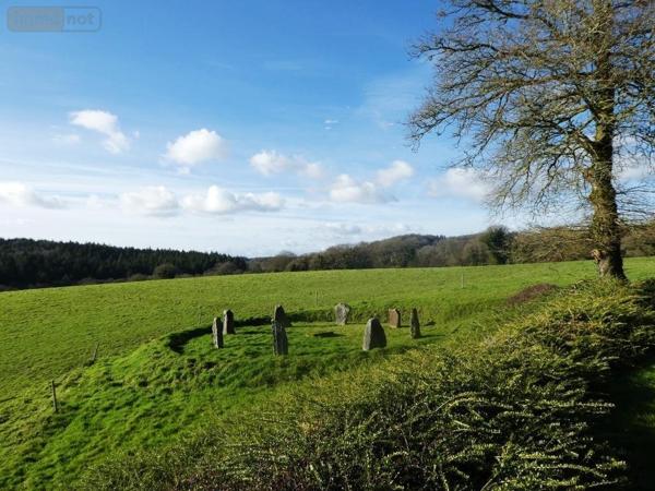 Maison à vendre à Langoëlan dans le Morbihan (56160), ref : 56075-2346