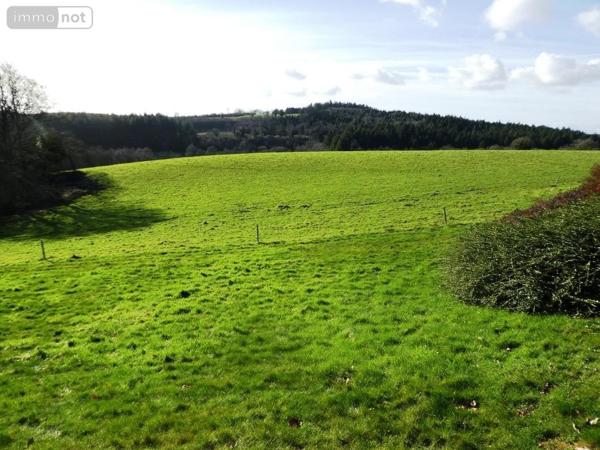 Maison à vendre à Langoëlan dans le Morbihan (56160), ref : 56075-2346