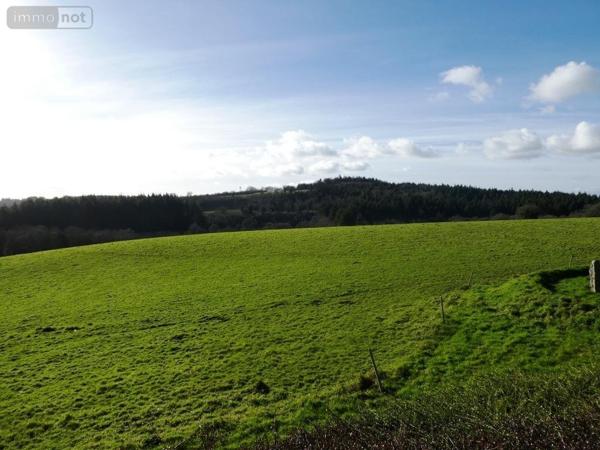 Maison à vendre à Langoëlan dans le Morbihan (56160), ref : 56075-2346