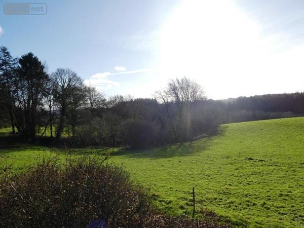 Maison à vendre à Langoëlan dans le Morbihan (56160), ref : 56075-2346