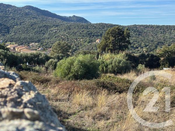 Terrain à vendre  6247 m2 MONTICELLO - 202