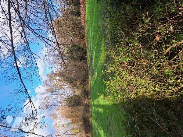 Pâture et hutte avec mare