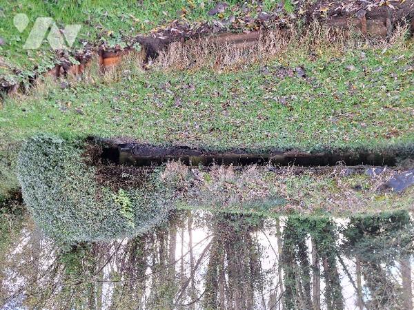 Pâture et hutte avec mare