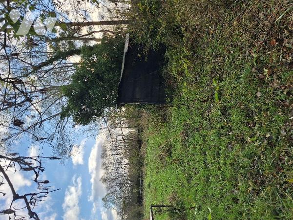 Pâture et hutte avec mare