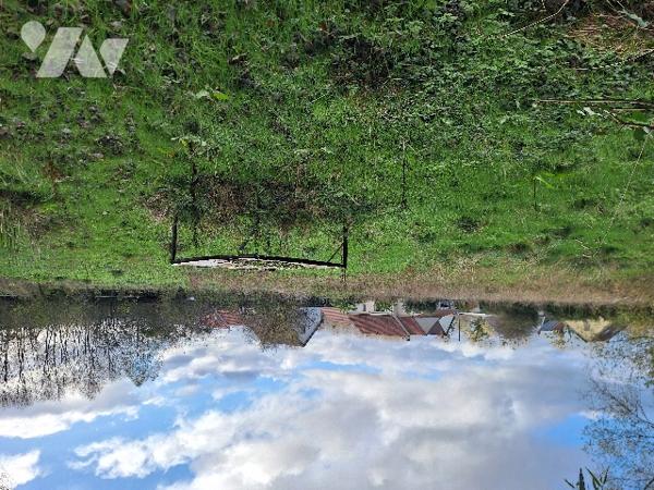 Pâture et hutte avec mare