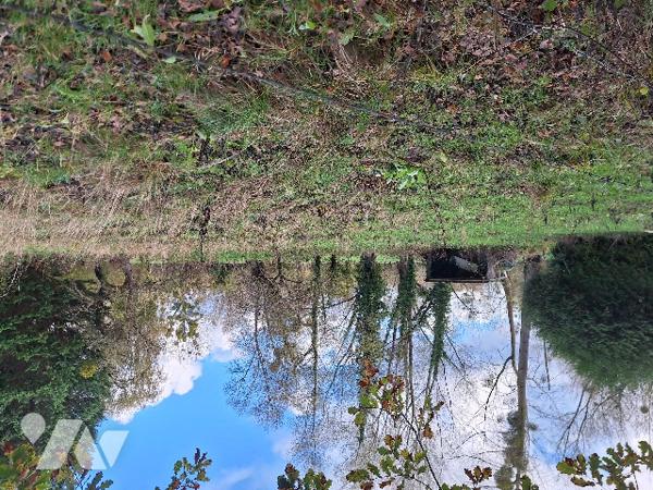 Pâture et hutte avec mare