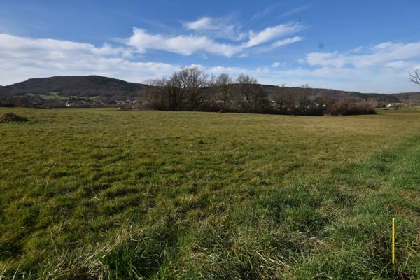 Vente Terrain 3116 m2 à Régat