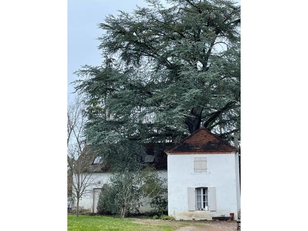 Maison 12 pièces - 306 m² Exclusivité efficity