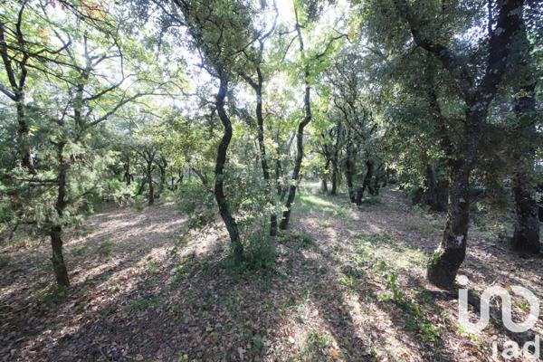 Terrain à vendre 1 000 m² Pernes-les-Fontaines
