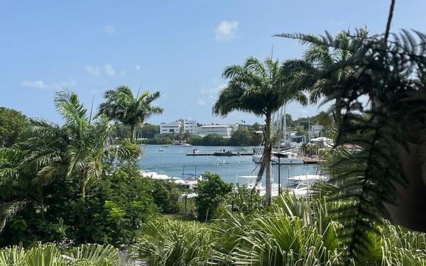 Appartement à louer    3 pièces •  Pointe-à-Pitre