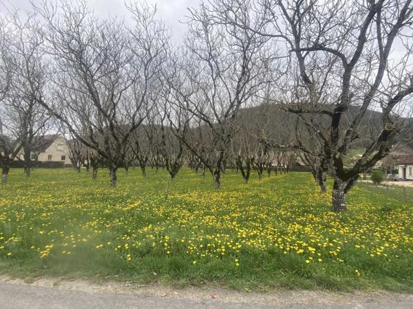 Terrain constructible - Sarlat-la-caneda Terrain constructible de 4730 m2