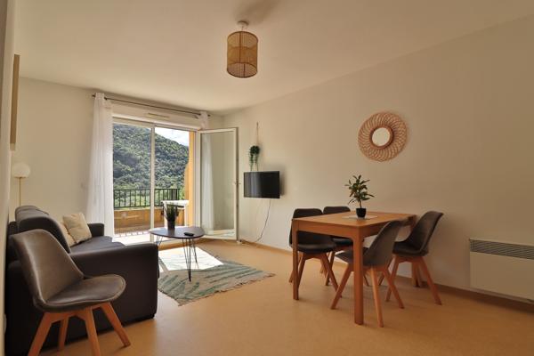 Appartement t2 - 48m2- Terrasse - Station thermale d'Avène