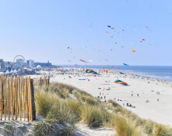 T1 de 25m2 en rez de-chaussée