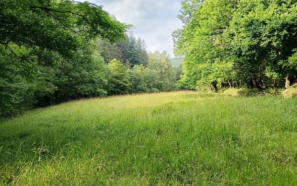 Maison à vendre    2 pièces •  Concoules