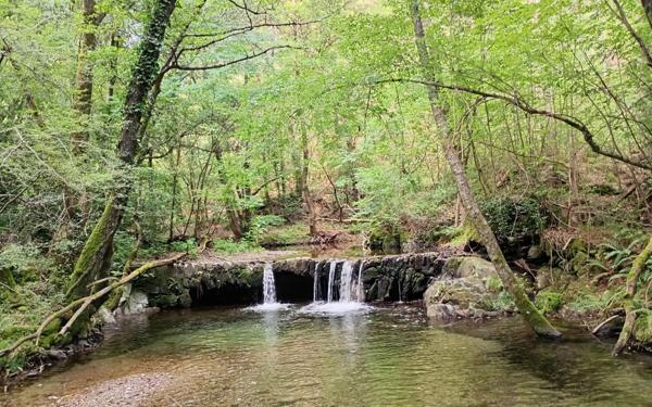 Maison à vendre    2 pièces •  Concoules