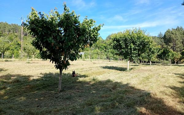 Maison à vendre    2 pièces •  Concoules