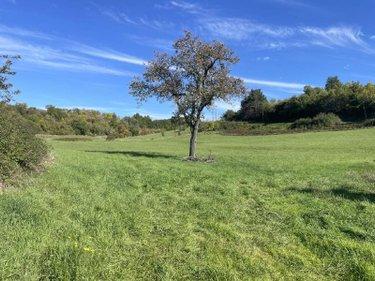 Bien agricole à vendre à Ribérac en Dordogne (24600), ref : 077/1646