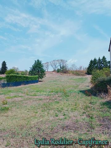 Terrain viabilisé de 2710 m2 RARE sur la commune de LIMONS (63290)