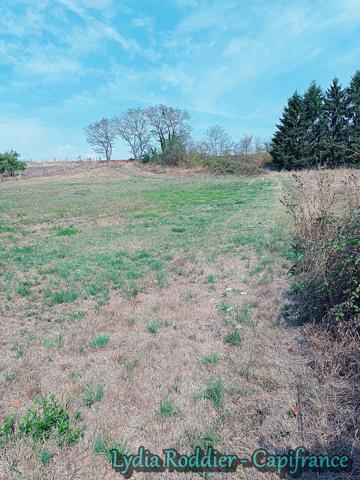 Terrain viabilisé de 2710 m2 RARE sur la commune de LIMONS (63290)
