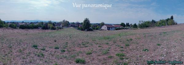 Terrain viabilisé de 2710 m2 RARE sur la commune de LIMONS (63290)