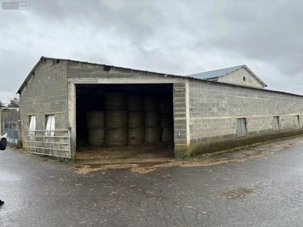 Propriété agricole à vendre à Roffiac dans le Cantal (15100), ref : TB/066/1