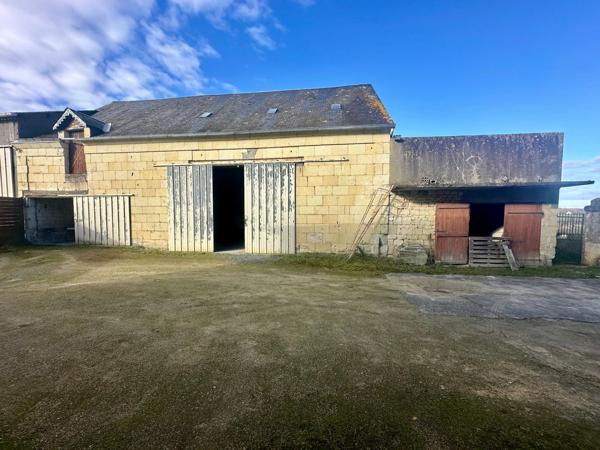 Saumur Sud à 5 km de la zone commerciale : Ensemble grange en pierre à aménager, hangar, et dépendances - 2503 m²