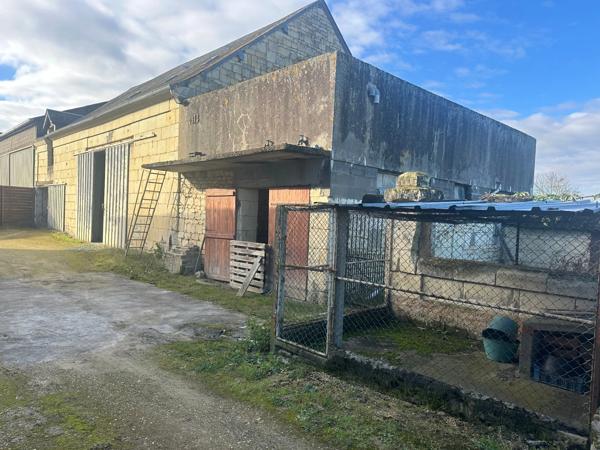 Saumur Sud à 5 km de la zone commerciale : Ensemble grange en pierre à aménager, hangar, et dépendances - 2503 m²