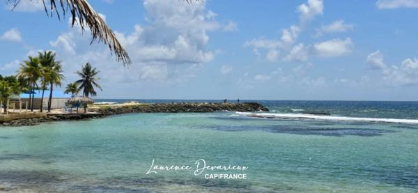 Appartement à vendre 1 pièces SAINT FRANCOIS (971)