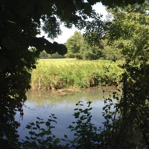 Maison pleine de charme à Urzy