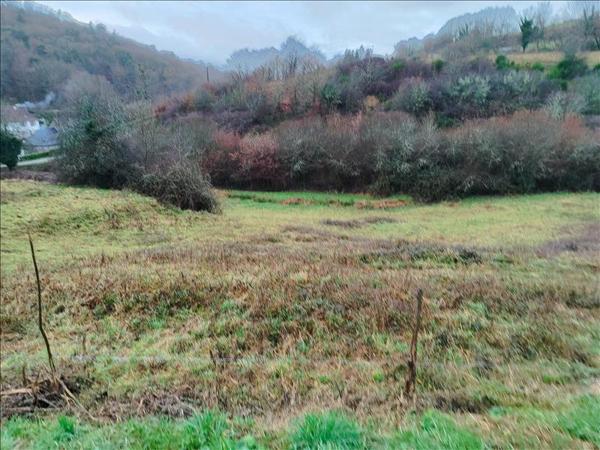 Terrain à vendre |  Chanac-les-Mines |  3493 m²