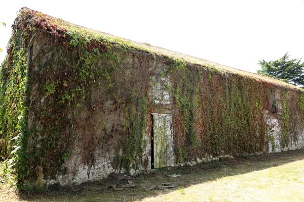 Grange avec terrain - centre ville